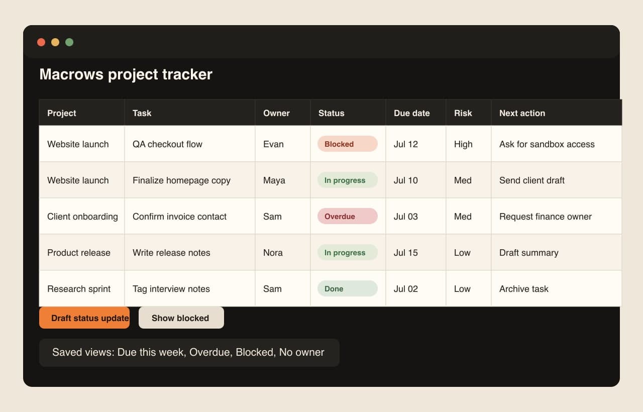 Macrows project tracker view showing task records, owners, statuses, due dates, and risk fields